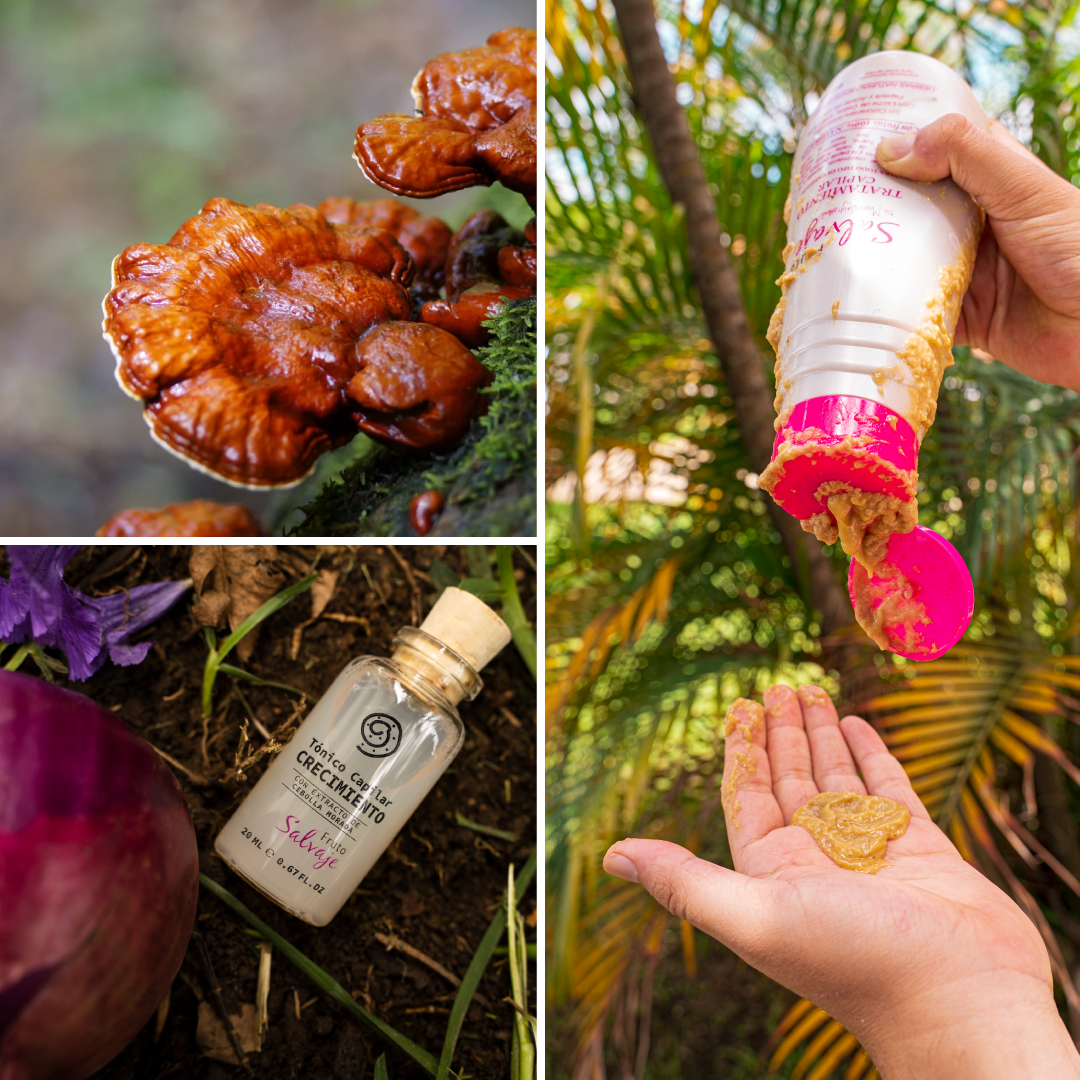 Collage of mushroom and hair products